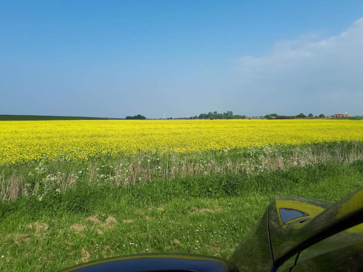 Ferienwohnung Fahrradurlaub in Ostfriesland für 4 Personen Utarp Exterior foto